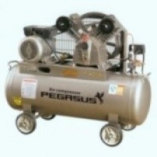 Máy nén khí pegasusTM-V-0.25-8-100L